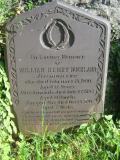 image of grave number 526564